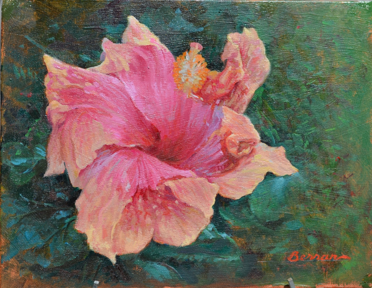 --Hibiscus Flower 11x14 Oil on Canvas Original