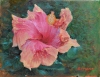Hibiscus Flower 11x14 Oil on Canvas Original